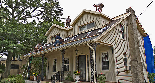 Best Roof Gutter Cleaning  in Live Oak, CA